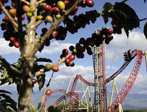 Descubra los secretos del café en el Parque del Café