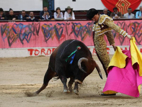 El torero peruano Roca Rey lidia su primer toro llamado "Zorro".