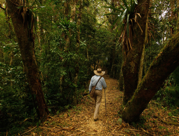 En el proyecto participan 47 campesinos de 21 veredas de Caquetá y el Guaviare.