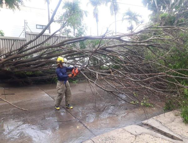 Árboles caídos, inundaciones e interrupción del servicio eléctrico fueron las emergencias ocasionadas por las intensas lluvias de hoy.