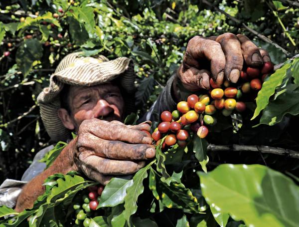 El gremio del sector plantea que se ahorre para épocas de vacas flacas.