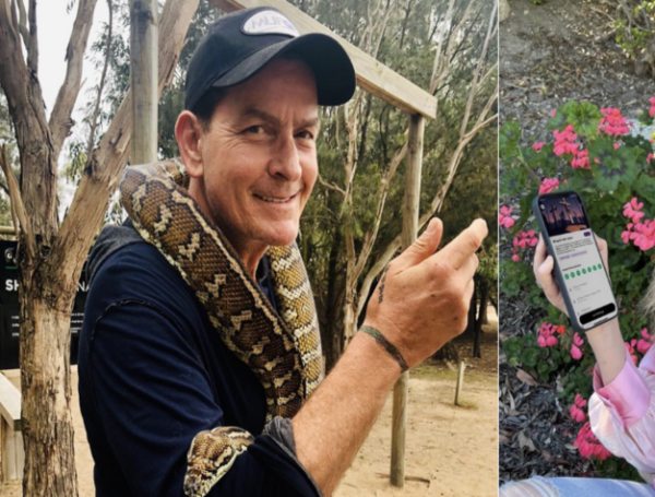 Charlie Sheen dice estar listo para volver a actuar