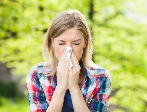Los síntomas más frecuentes de la rinitis alérgica son estornudos, congestión nasal y exceso de mucosidad.