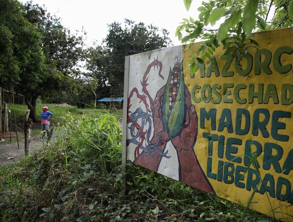 En Cauca, los indígenas llaman ‘recuperación’ o ‘liberación de la Madre Tierra’ a la invasión de fincas