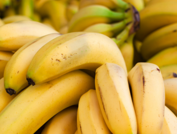 El banano es conocido por sus multiples preparaciones y su valor nutricional.