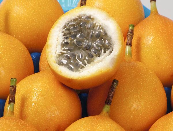Granadilla.