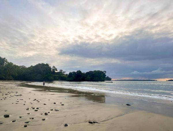 Selva y mar se pueden encontrar cerca a Cali.