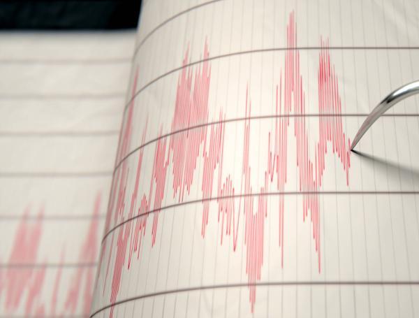 Temblor. Imagen de referencia.