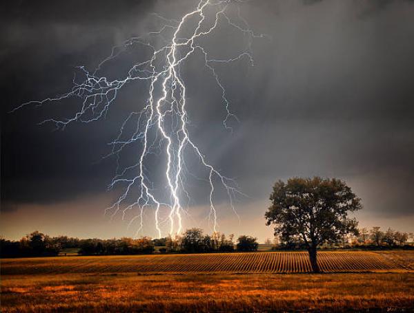 Si está al aire libre, puede buscar un árbol para protegerse de un rayo.