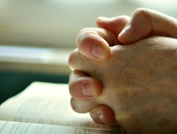 La Oración A La Virgen De Guadalupe Para Pedir Por La Protección De Los