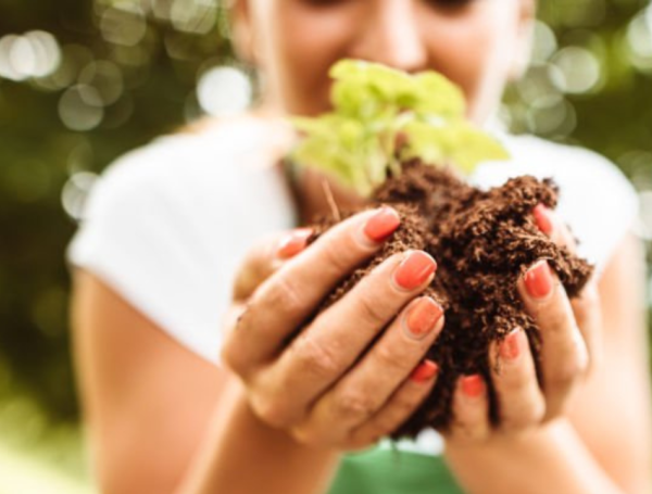 Marzo marca el inicio de la primavera.