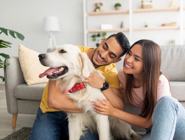 ¿Sabía que acariciar a su mascota puede ayudar a aliviar la tensión arterial?