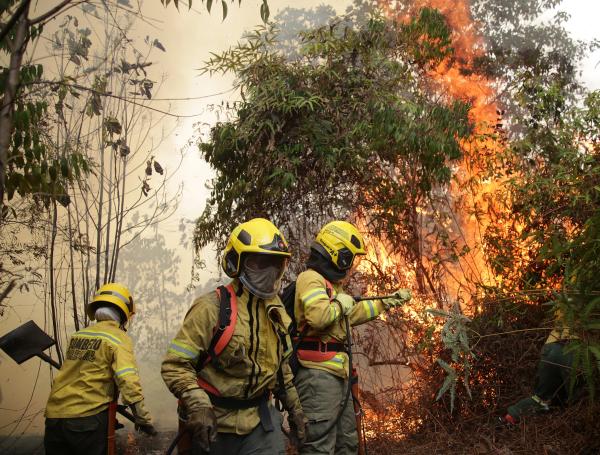 Bomberos trabajan para controlar las llamas.