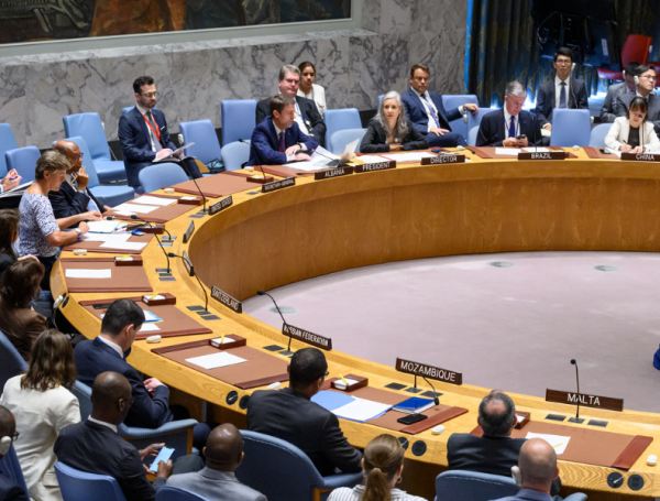 ¿Qué es el Consejo de Seguridad de la ONU y para qué sirve? Cuatro ...