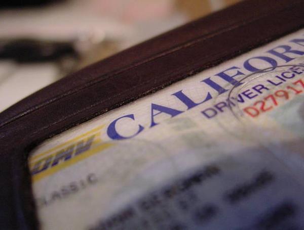 Así puede obtener la licencia sin tener estatus migratorio