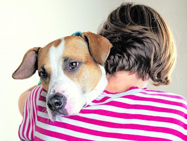 La despedida de un animal de compañía debe tener siempre un acompañamiento emocional.