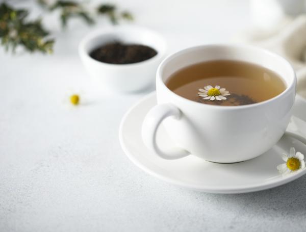 Una de las especies que se destaca entre las consideradas más beneficiosas para la salud es la manzanilla, una planta que se la cultiva en España, Argentina, Yugoslavia, Hungría, Egipto y Turquía.