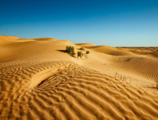 Desierto del Sahara