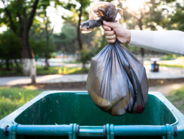 Imagen de referencia a buscar en la basura.