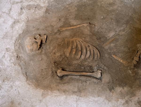 Arqueólogos encontraron una civilización perdida de más de 10.000 años en  Sudáfrica: así se relaciona con la genética actual