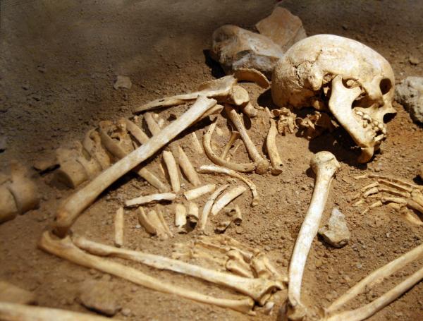 Arqueólogos encontraron una civilización perdida de más de 10.000 años en  Sudáfrica: así se relaciona con la genética actual