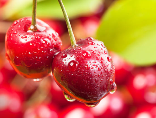 Algunos estudios sugieren que el consumo regular de cerezas puede ayudar a prevenir la degeneración macular