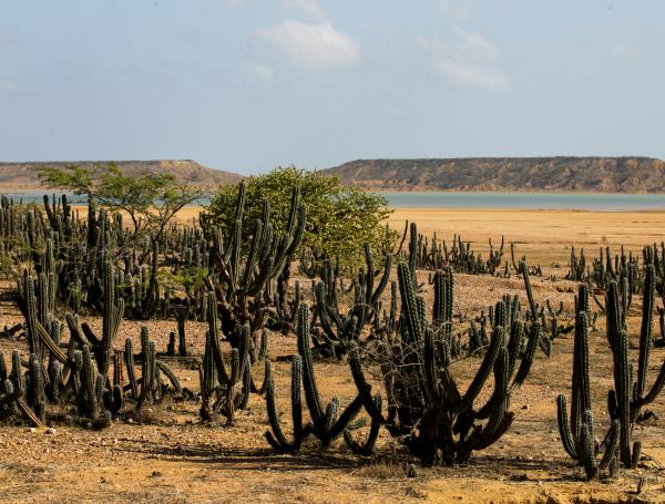 La Guajira: territorio mágico en donde converge la riqueza natural y ...
