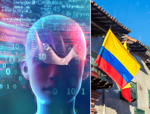 Esta fue la interpretación del modelo de aprendizaje.