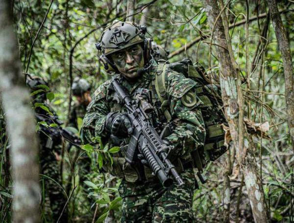 Fuerzas Militares de la Tercera Brigada.