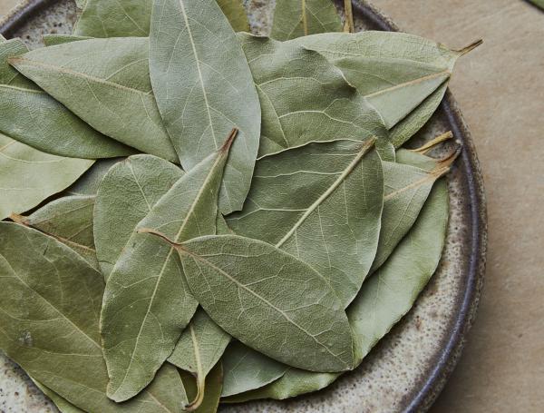 El laurel es un símbolo de protección.