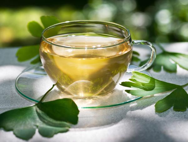 ginkgo biloba