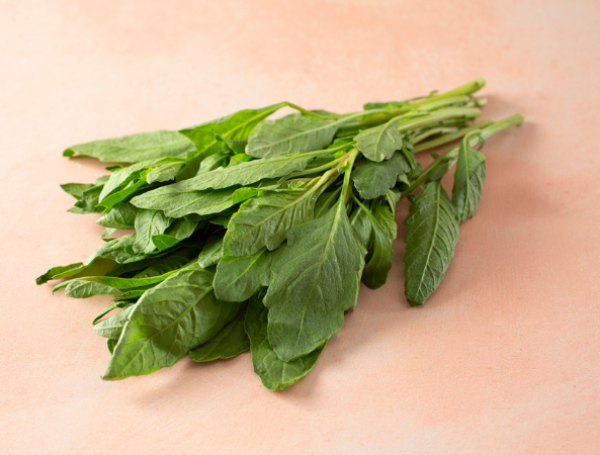 Epazote