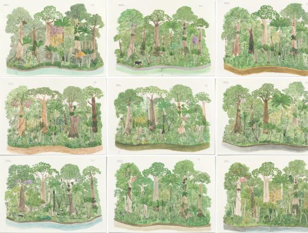 Abel Rodríguez y su obra, en el libro 2024 de los Grandes Maestros del Arte Colombiano