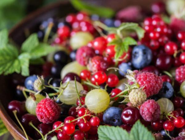 Esta baya es ideal para obtener beneficios a la salud