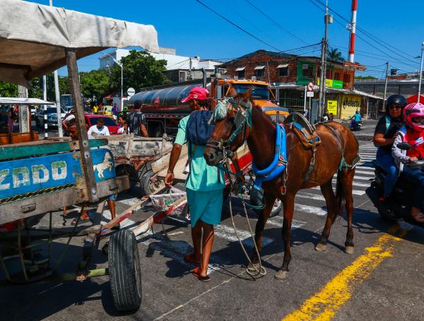 PROTESTA CARREMULEROS