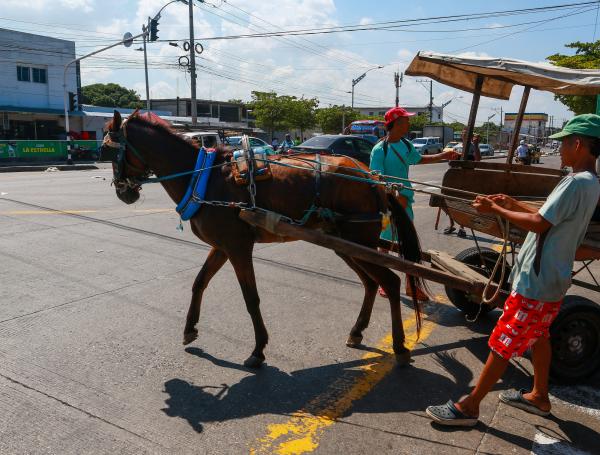 PROTESTA CARREMULEROS