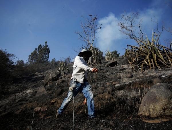 Incendio en la zona rural de Cali.