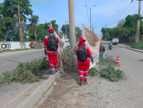 Aseo Cartagena