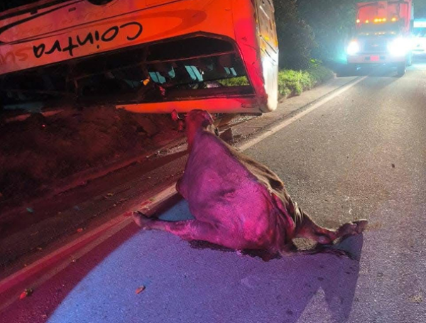 Bus volcado en Tolima