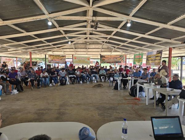 Encuentro entre Gobierno y disidencias en el Guayabero.