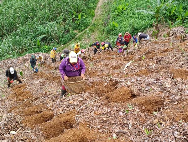 Las mujeres indígenas que hacen parte de la asociación,