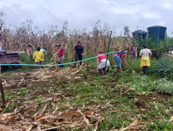 Las mujeres Emberá cultivando.