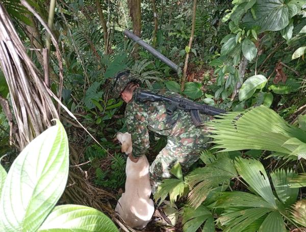 Tras recrudecimiento de la violencia en Chocó, se anunció un despliegue de tropas del Ejército.