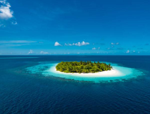 Imagen de referencia de una isla cubierta por vegetación.