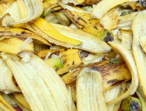 cáscara de banano