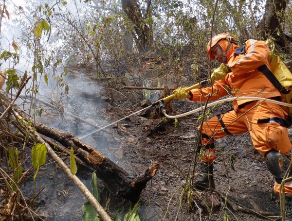 Incendios forestales