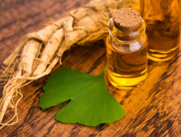 Ginkgo biloba