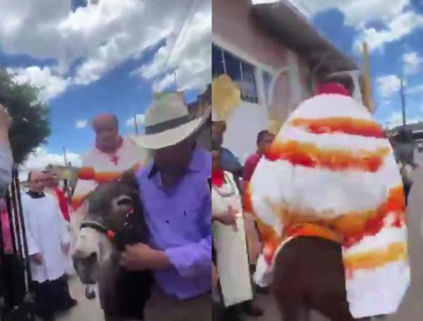 Sacerdote utilizó a una burra en Zipaquirá para entrar a la iglesia