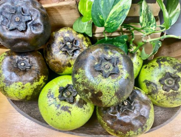 Zapote negro