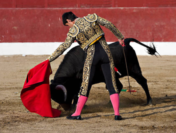 Tauromaquia